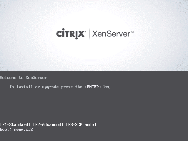 XenServer will not boot after installation